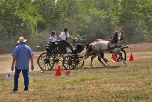 Kulturális rendezvény Kásádon - 2021.08.20 #2